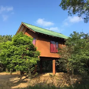 https://sky-forest.kandyhotelsnow.com